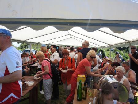 12. pohod Pomlad v prleških goricah Dan odprtih kleti in veselih ljudi, 28.5.2016 71